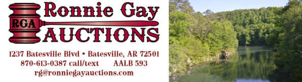 Ronnie Gay Auctions